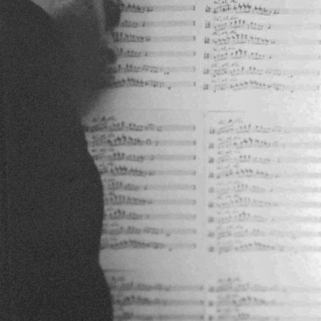 Giulio Risi